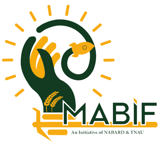MABIF