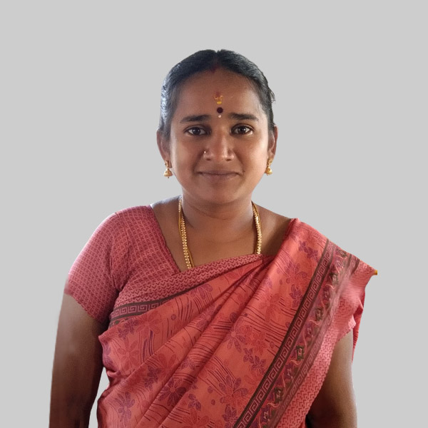 Member-Board of Director